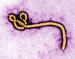 Ebola 2 is created in the spirit of the great classics of survival horrors. Ebola virus (2).jpg