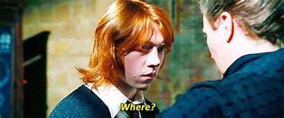 Ron Weasley Goblet Harry Potter Fire Mcgonagall