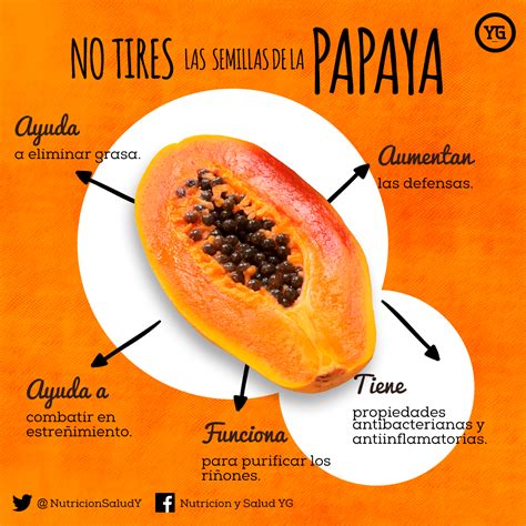 Beneficios De La Papaya