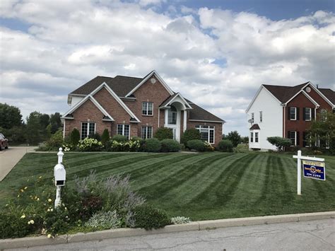 Dethatching is the easy option because it is accomplished simply by using a rake. Lawn Maintenance Contractor - Amherst, Williamsville & Buffalo, NY