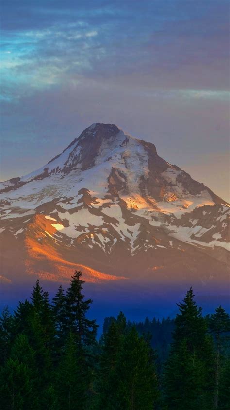 Download Wallpaper 938x1668 Mountain Peak Trees Sky Sunset Iphone 8