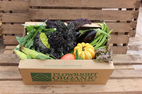 Plowright Organic Medium Veg Box
