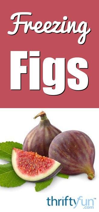 Delicious And Easy Guide To Freezing Figs