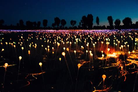Field of light star pass. The Astonishing Field of Light at Uluru | Explore Shaw