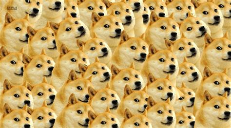 Doge Meme Wallpaper