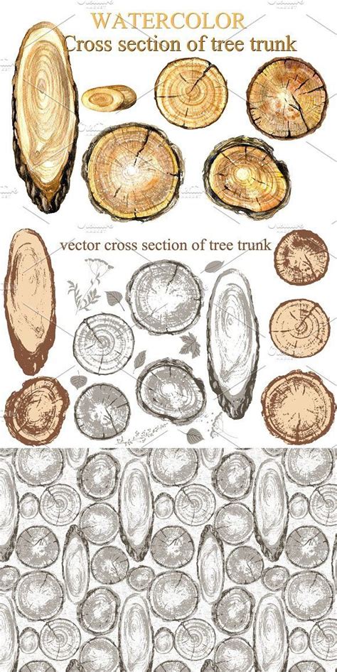 Cross Section Of Tree Trunk Maple Tree Tattoos Trendy