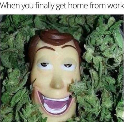 Here Are The Best Weed Meme Accounts For Stoners To Follow In 2020 Cannabis News Canada