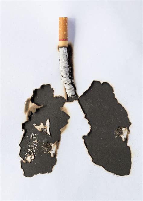 No Safe Level Of Smoking Exists For Heart Disease And Stroke Research