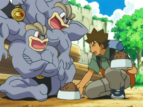 Expert Stonecutters Machamp Pokémon Wiki Fandom Powered By Wikia