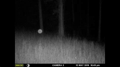 Flying Orb Caught On Trail Cam Youtube