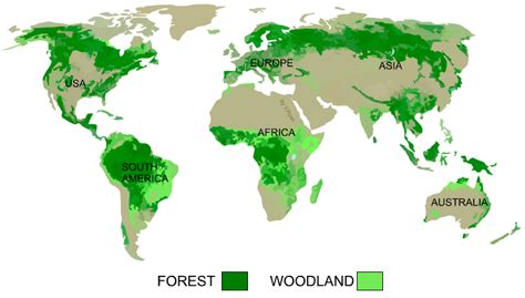 Forests And Woodlands World Distribution Of Natural Woods
