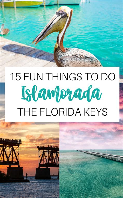 15 Best Things To Do In Islamorada Don Miss These Activities