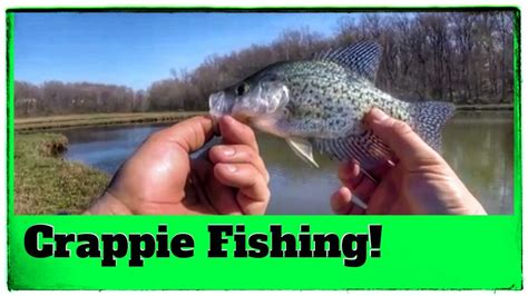Crappie Fishing With A New Lure Early Spring Crappie Fishing Youtube
