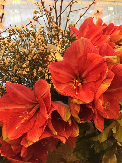You have successfully opted out of u.s. #fleurs #flowers #Bouquet