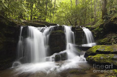 Smoky Mountain Waterfall D008427 Photograph By Daniel Dempster Fine