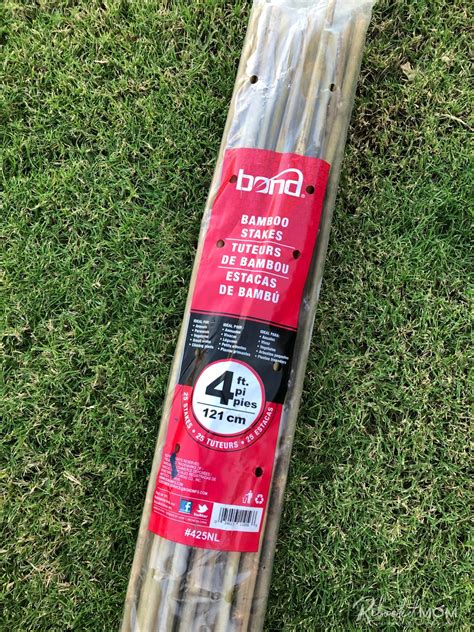 However, if you don't have an ample supply of bamboo nearby, don't worry. How to Build a Bamboo Trellis - Rebooted Mom