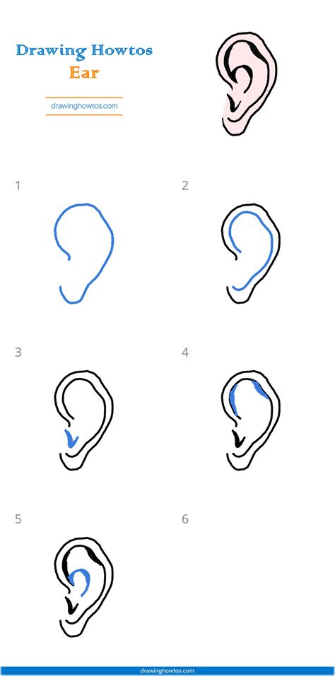 How To Draw An Ear Step By Step Easy Drawing Guides Drawing Howtos