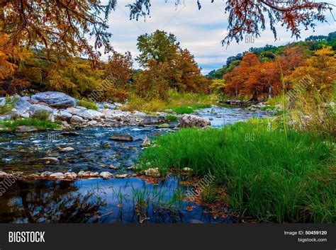Stunning Fall Colors Texas Cypress Image And Photo Bigstock