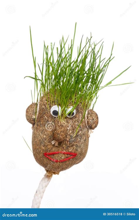 Grass Man Stock Photo Image Of Straw Grass Growing 30516518