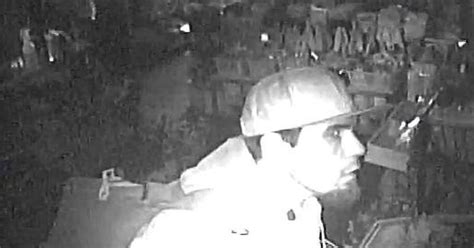 police seek two suspects in alleged business burglary on niles street news