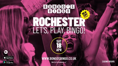 Bongos Bingo Bongos Bingo Rochester 180420