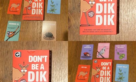 Don’t Be A Dik Dik Card Game by Ginger Fox Limited Review – What's Good