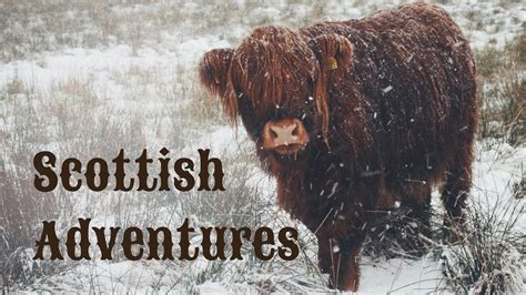 scottish adventures Шотландские Приключения youtube