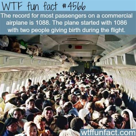Weird Facts That Are Almost Too Crazy To Be True 25 Pics