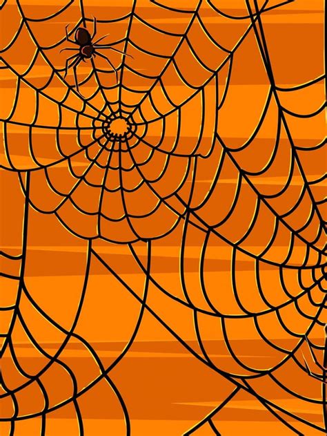 45 Scary Halloween 2012 Pumpkins Witches Spider Web 1920x1200 For