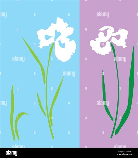 Vector Illustration Of An Iris Flower Silhouette Stock Vector Image