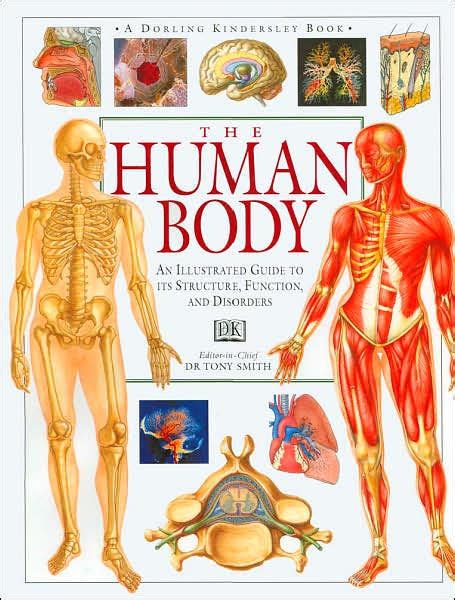 These systems include the integumentary system, skeletal system, muscular system, lymphatic system, respiratory system, digestive system, nervous system, endocrine system, cardiovascular system. The Human Body: An Illustrated Guide to Its Structure ...