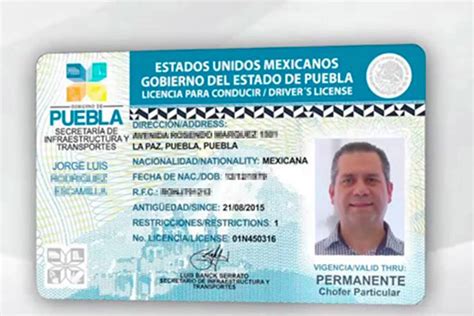 Licencia De Conducir Puebla Todo Sobre Requisitos Y Costos My Xxx Hot Girl