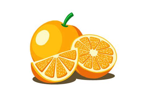 Orange Fruit Vector Illustration Graphic By Hartgraphic · Creative Fabrica