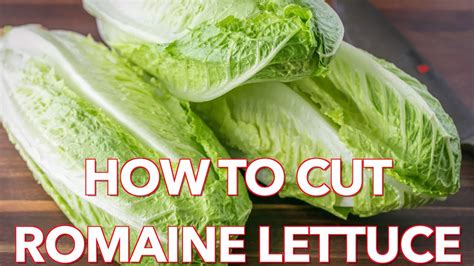 According to youtube the boron alloy ones can be cut through with 36″ bolt cutters but mine is the hexagonal carbide one which is supposed to be more difficult. Quick Tip: How To Cut Romaine Lettuce Natasha's Kitchen ...