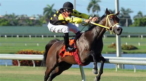 Horse Racing Techniques - Maot Website - The science of ...