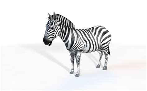 Zebra Rigged 3d Cgtrader