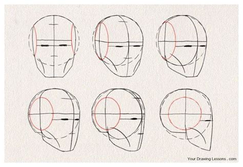 Anatoref Head Drawing Reference Face Proportions Anatoref — Basic