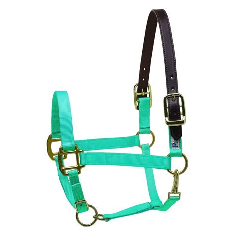 Perris Premium Nylon Safety Halter Bell Boots Horseloverz