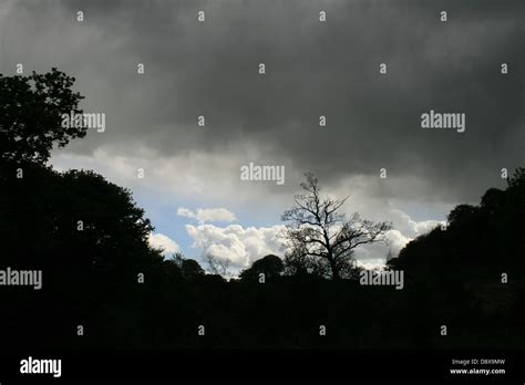 Trees Woods Stormy Sky Hi Res Stock Photography And Images Alamy