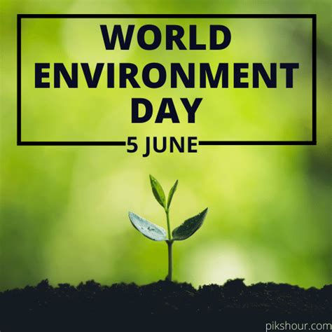 World Environment Day June 5th Envius Thoughts