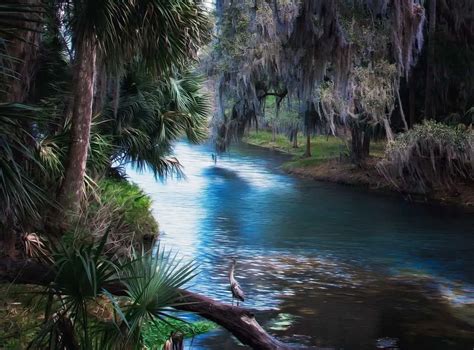 Best Places To Visit In Florida For Nature Lovers Beautiful Wonders