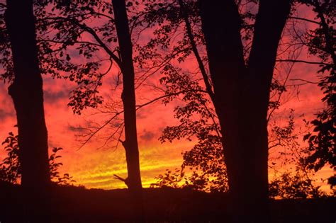 Sunset Through The Trees Art Print By Travel Photography Sunset Tree