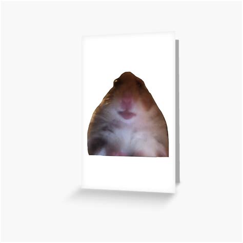 Staring Hamster Meme Greeting Card For Sale By Brig506 Redbubble