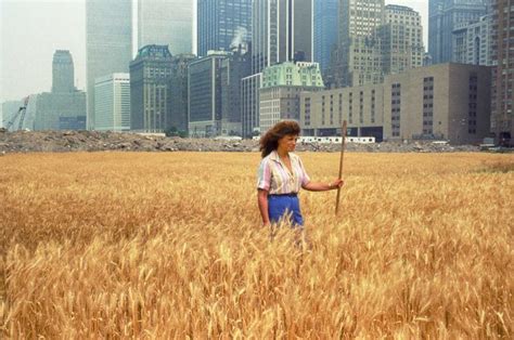 Dcth) hit a low of $.002 just a few days ago. Manhattan Wheatfield | Wheatfield, Environmental artist ...