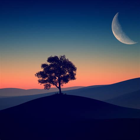 Tree Alone Dark Evening 4k Ipad Air Wallpapers Free Download