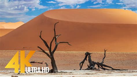 Spectacular Namibia And Botswana Discovering The Deserts 4k Relaxation Video Youtube