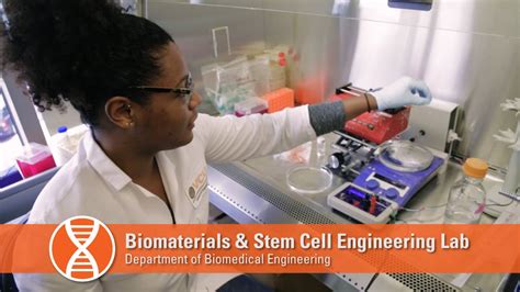 Biomaterials And Stem Cell Engineering Lab Youtube