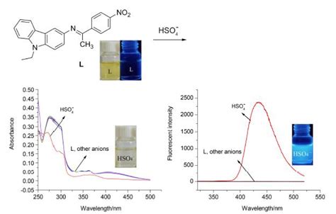 Detection Of Hso Ion With A Colorimetric And Fluorescent Probe