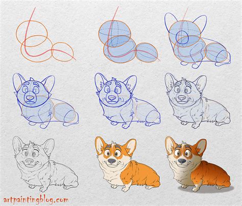 How to Draw Cartoon Corgi Dog – A Step by Step Guide