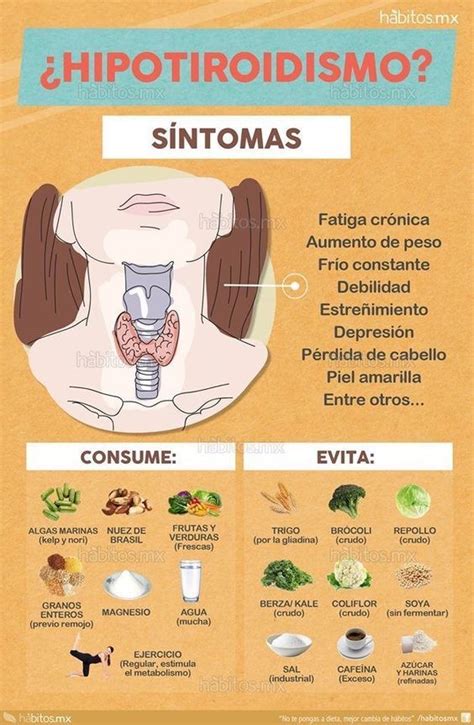 Síntomas De Hipotiroidismo Y Qué Tomar Infographic Health Health
